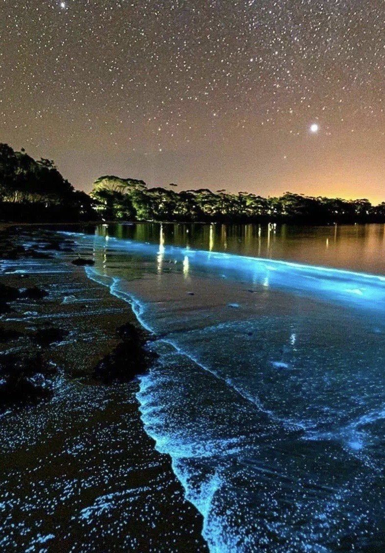 中国九游体育-?w潭@澕?-中国九游体育